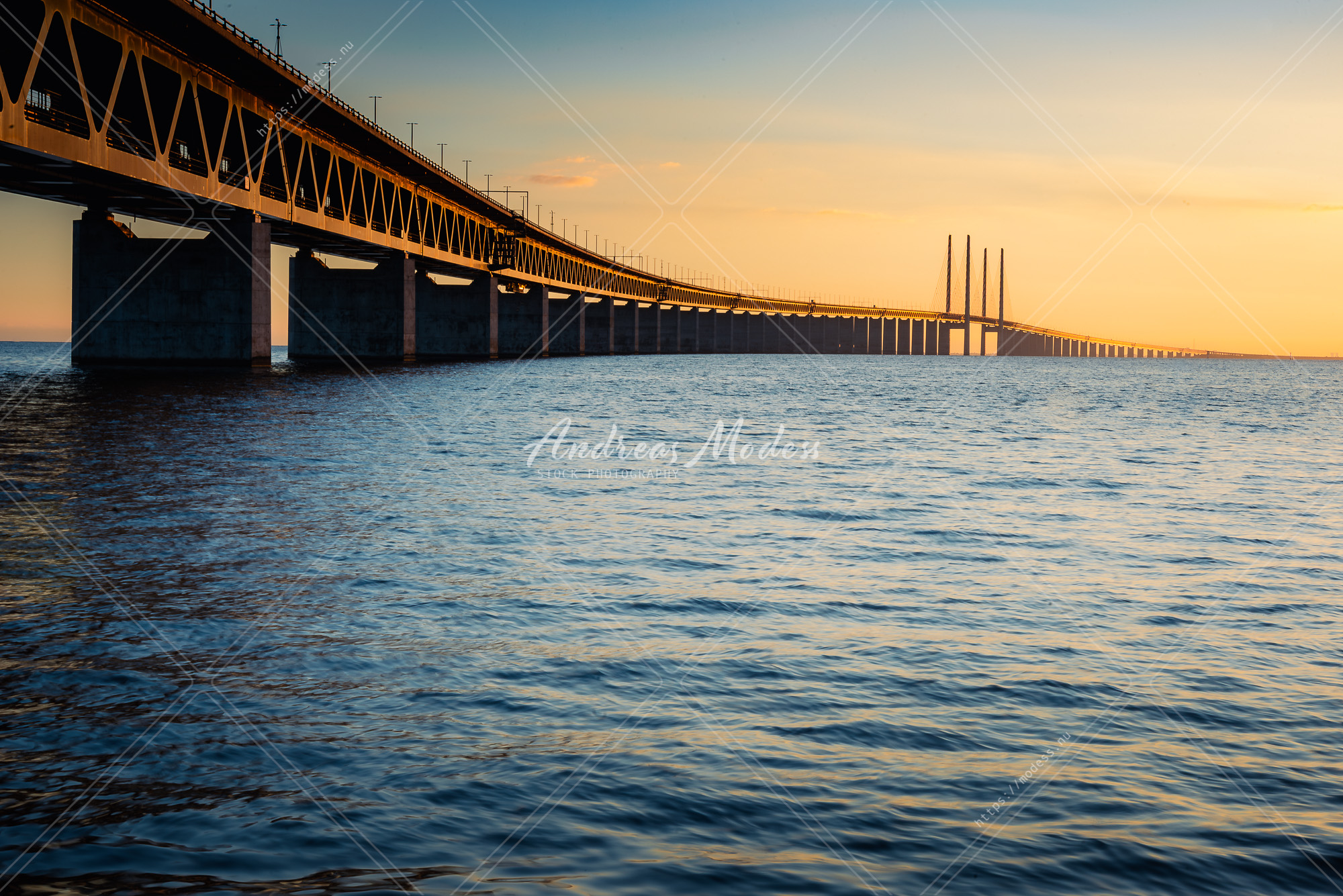 Öresundsbron i solnedgång